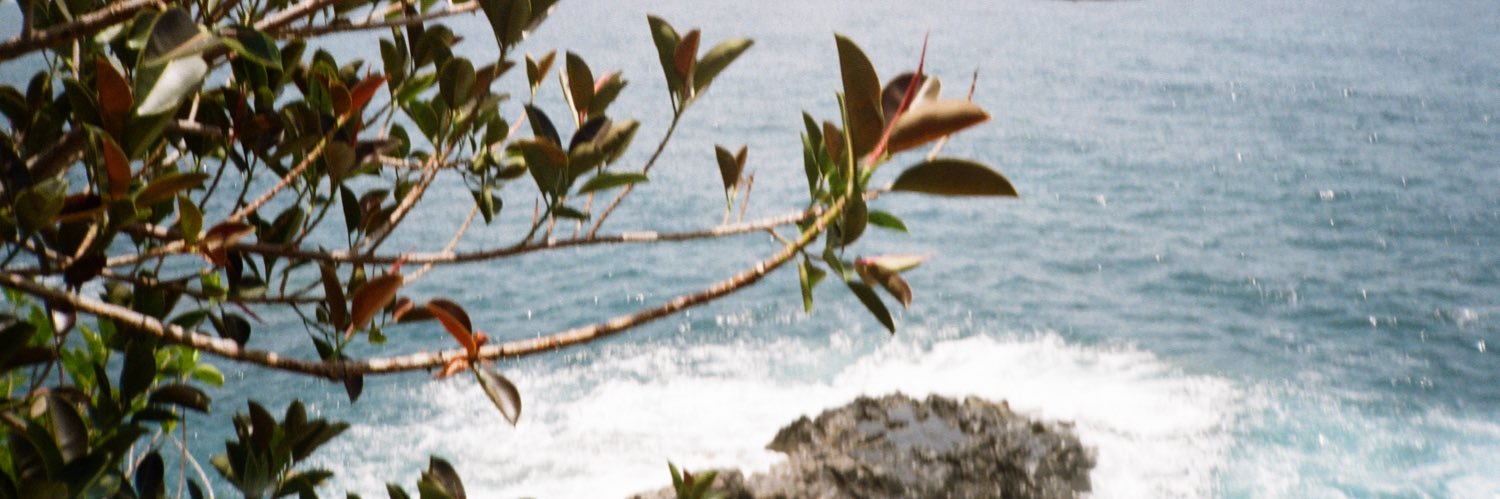 RachJ_'s profile banner image