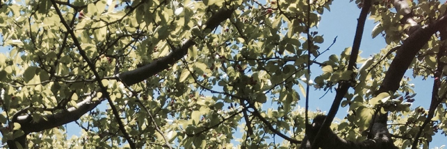 izmenicole's profile banner image