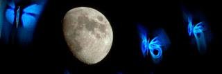 NeusS_7's profile banner image