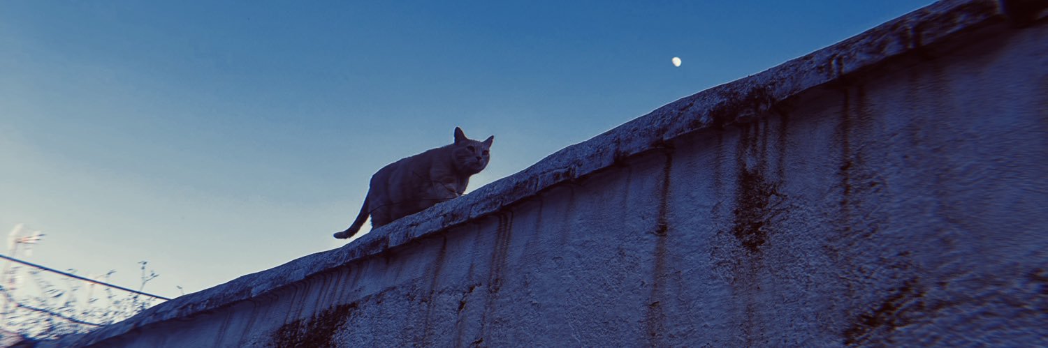 Rammyhimself's profile banner image
