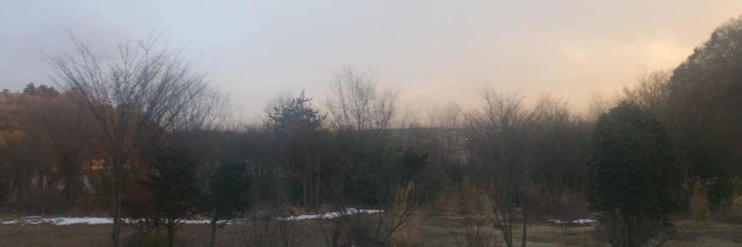 timiP68's profile banner image