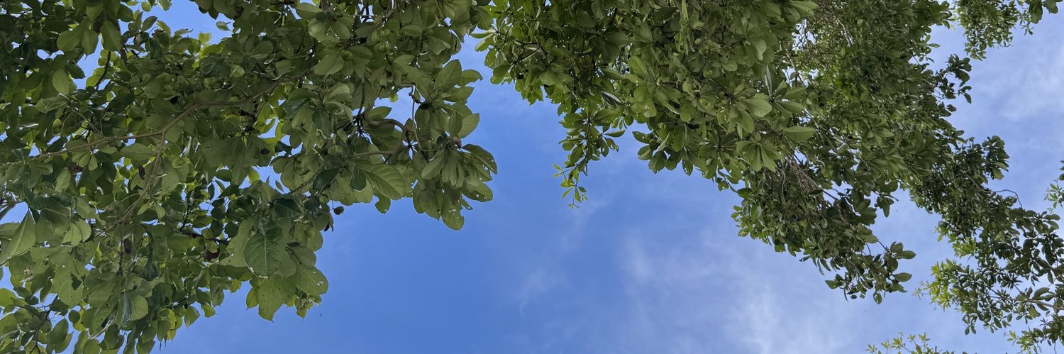 júnior banner