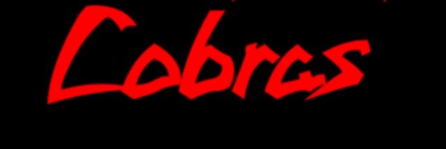 ClubLakeCobras's profile banner image