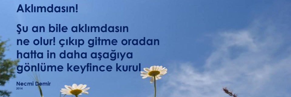 necmidemir11's profile banner image