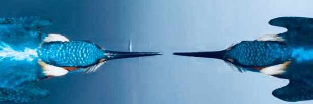 yasko1071's profile banner image