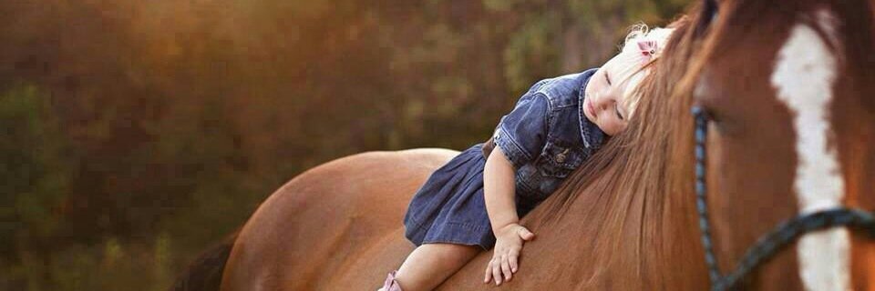 Qad || Palestine banner