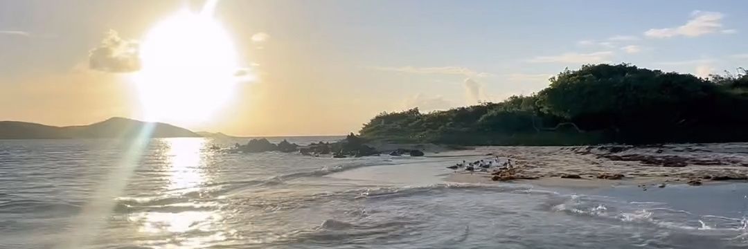 monserrath gonzález banner