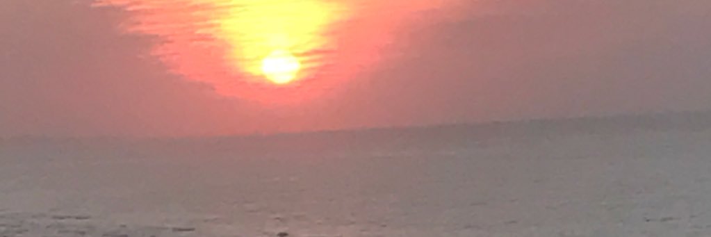 Bryan Schroder banner