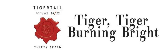 TigertailMiami's profile banner image