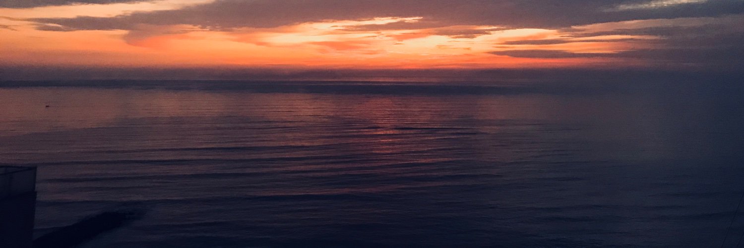 texinemiau's profile banner image