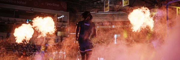 VarnerLouie Profile Banner