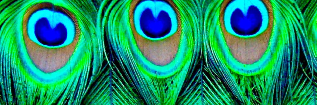 AllekxaD's profile banner image