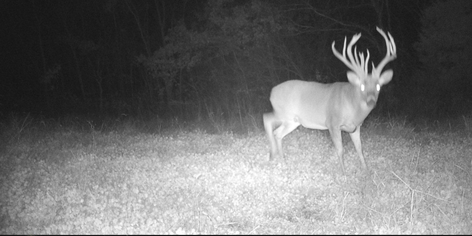 Nsane_Bowhunter's profile banner image