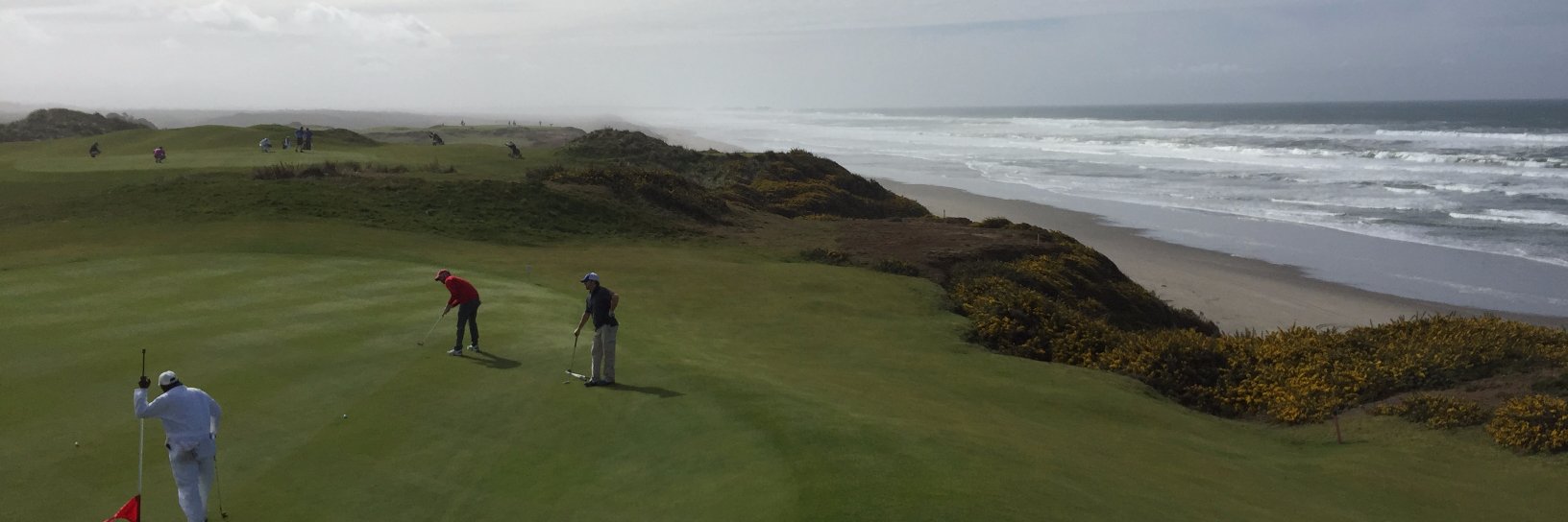 Aaron Goninen banner