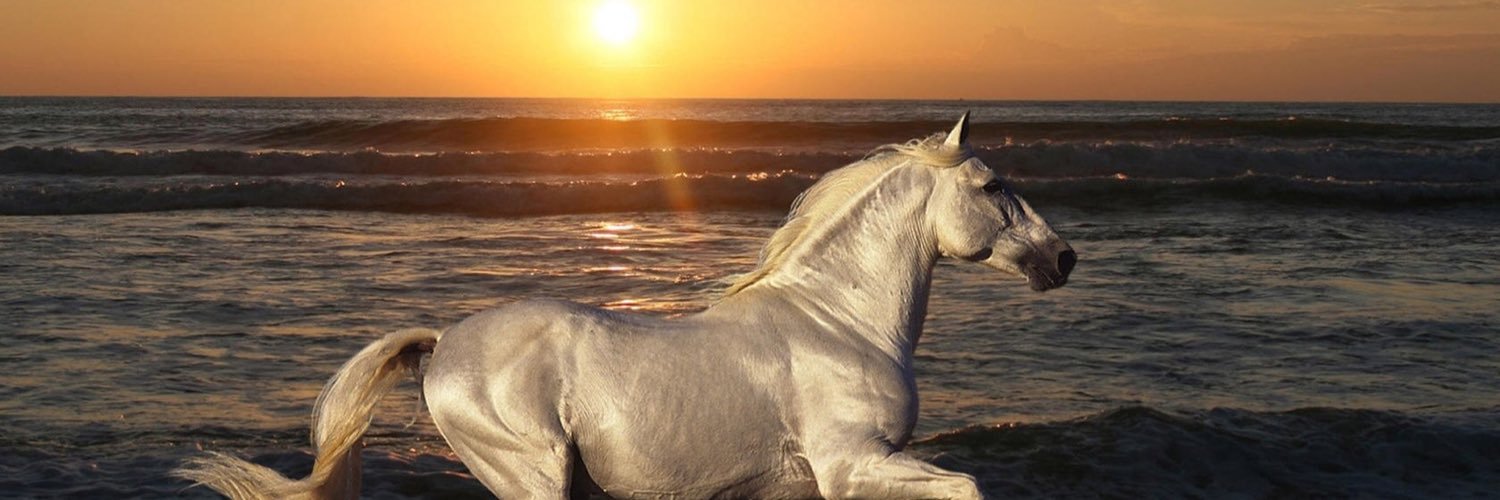 MAB_JackAttack's profile banner image