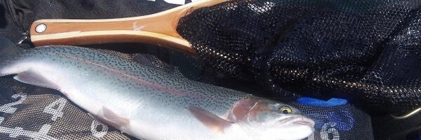 CartwheelKevin Profile Banner