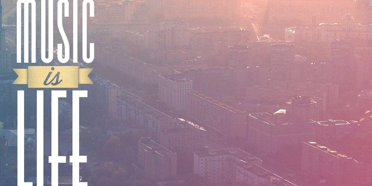 FanDelMorfi's profile banner image