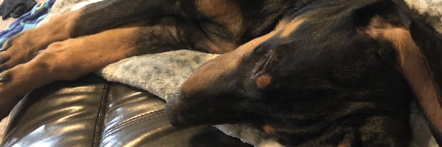 lejum4's profile banner image