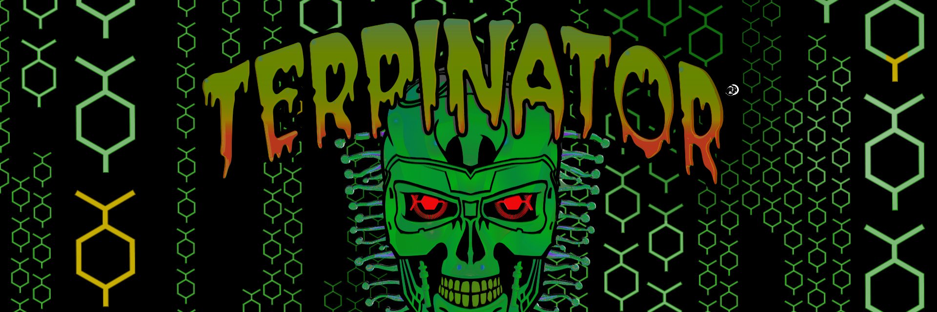 Terpinator's profile banner image