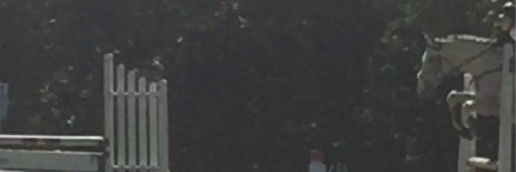 Sbowmanhorses's profile banner image