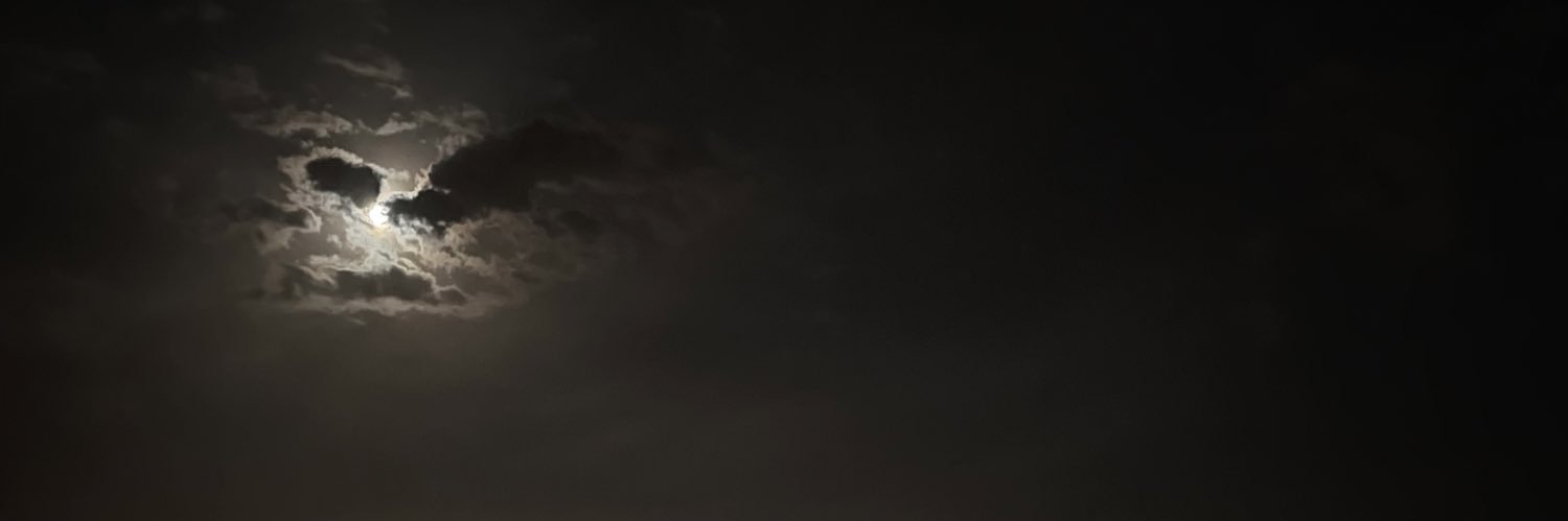 Laama94's profile banner image