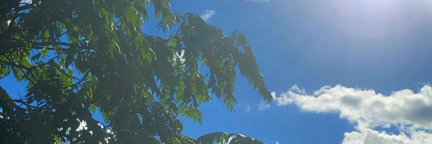 lazyoldjay's profile banner image