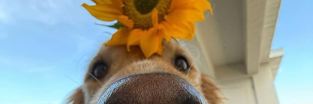 maureen2912's profile banner image