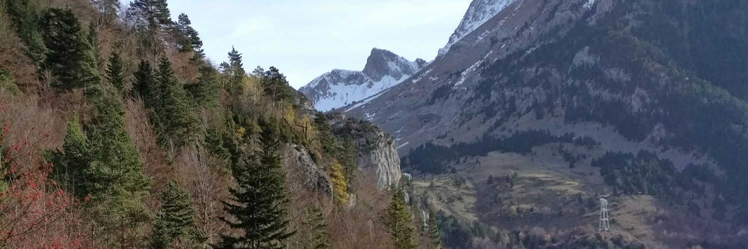 felixbricios's profile banner image