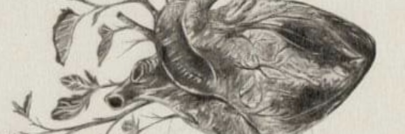 arazu90's profile banner image