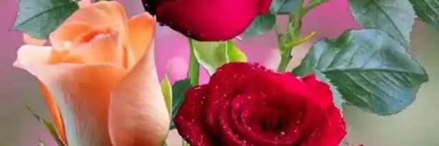 nadarshah42's profile banner image