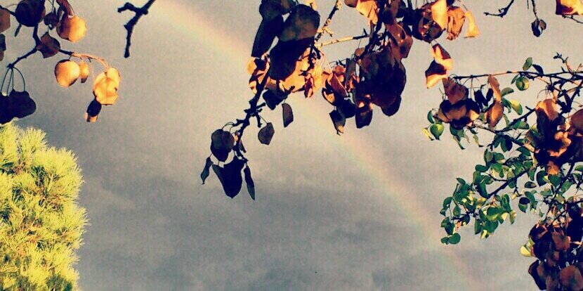 Emilio_Prieto's profile banner image