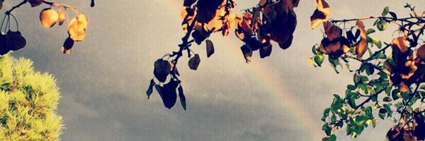 Emilio_Prieto Profile Banner