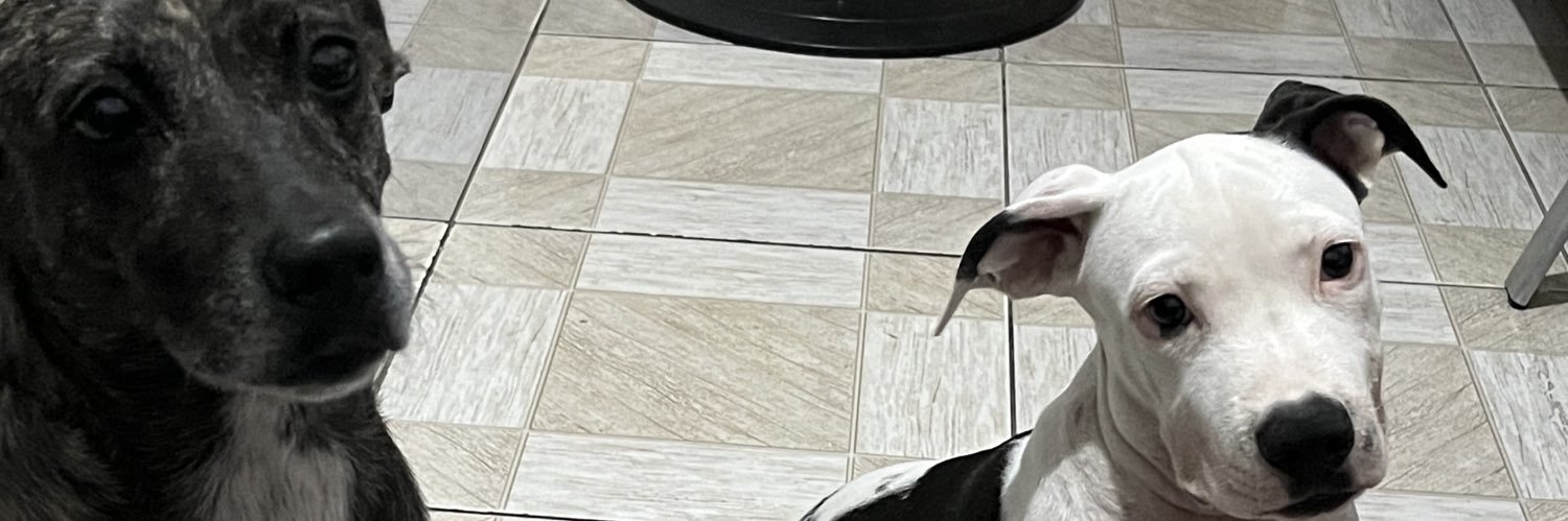 luplaycrvg's profile banner image