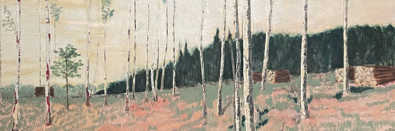 StineJacobi's profile banner image