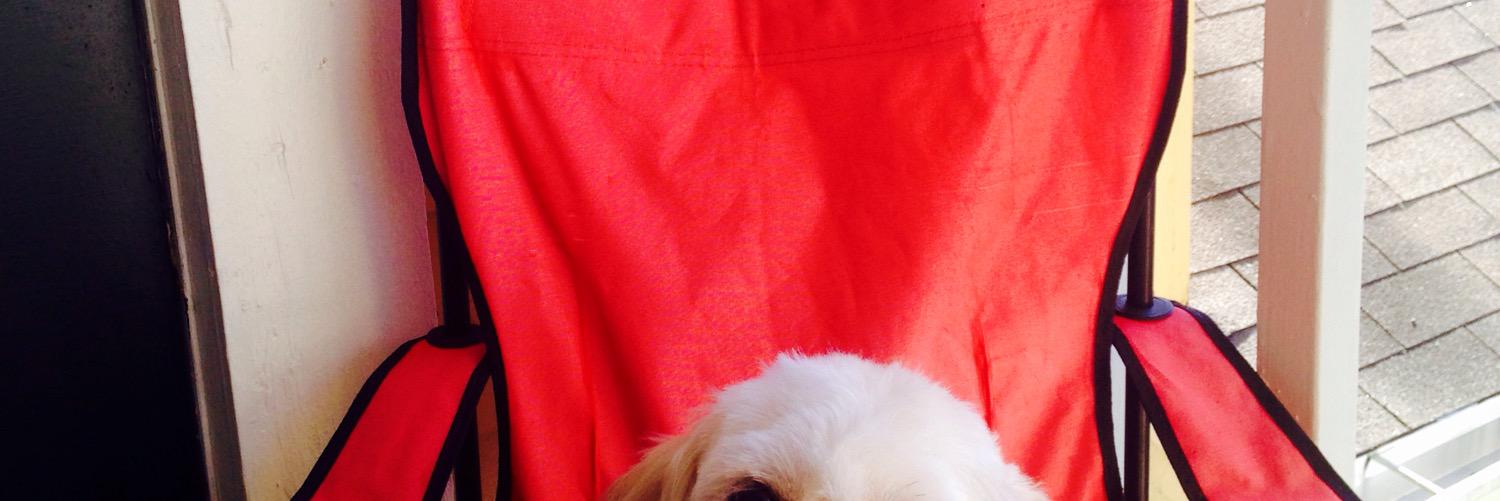 CroomPatricia's profile banner image