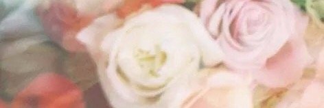 burritogoth69's profile banner image