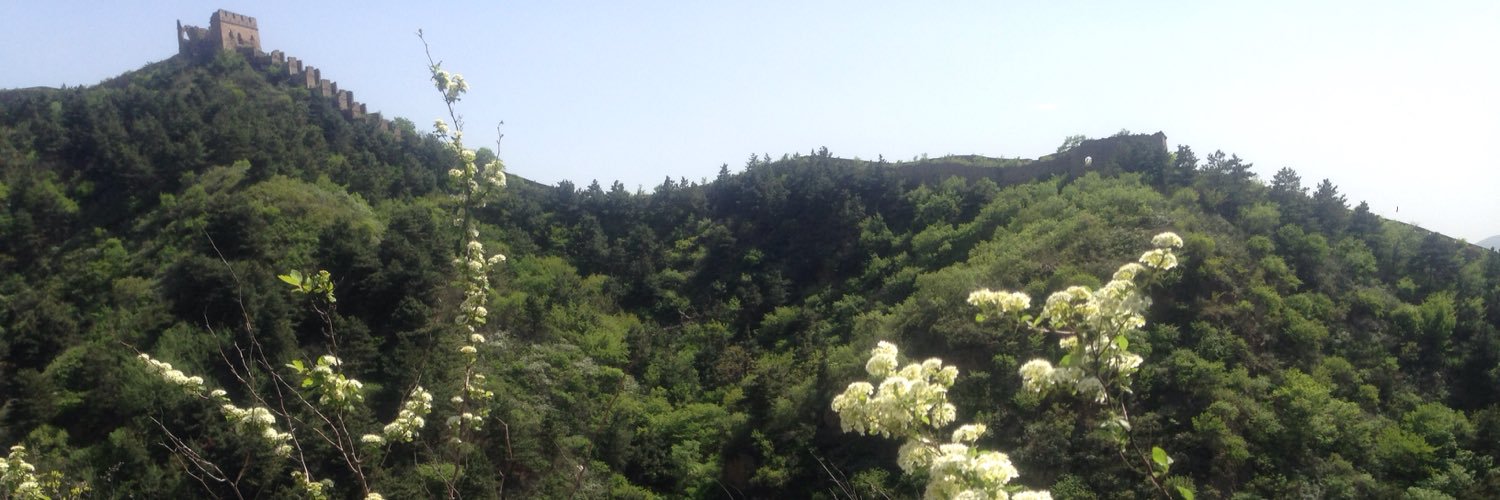 PollyShaw_'s profile banner image