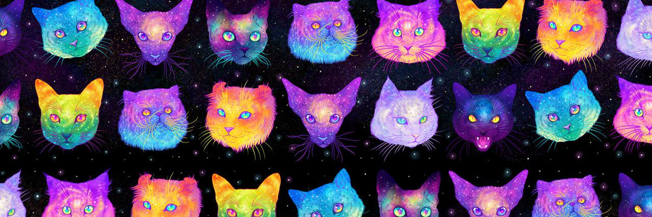 mimoza161's profile banner image