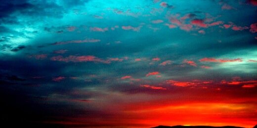 adriana q. banner