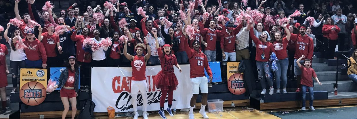 BRHSSpirit's profile banner image