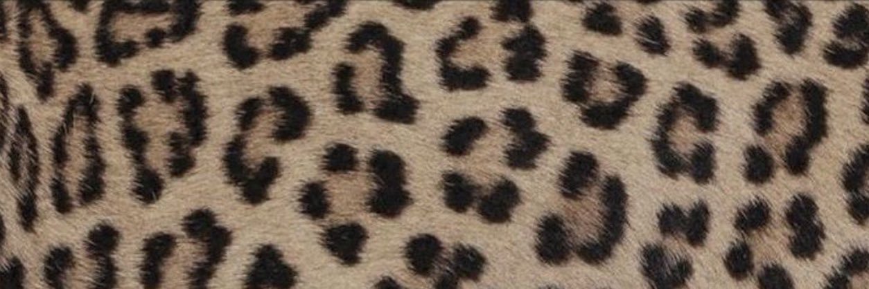 _zettte's profile banner image