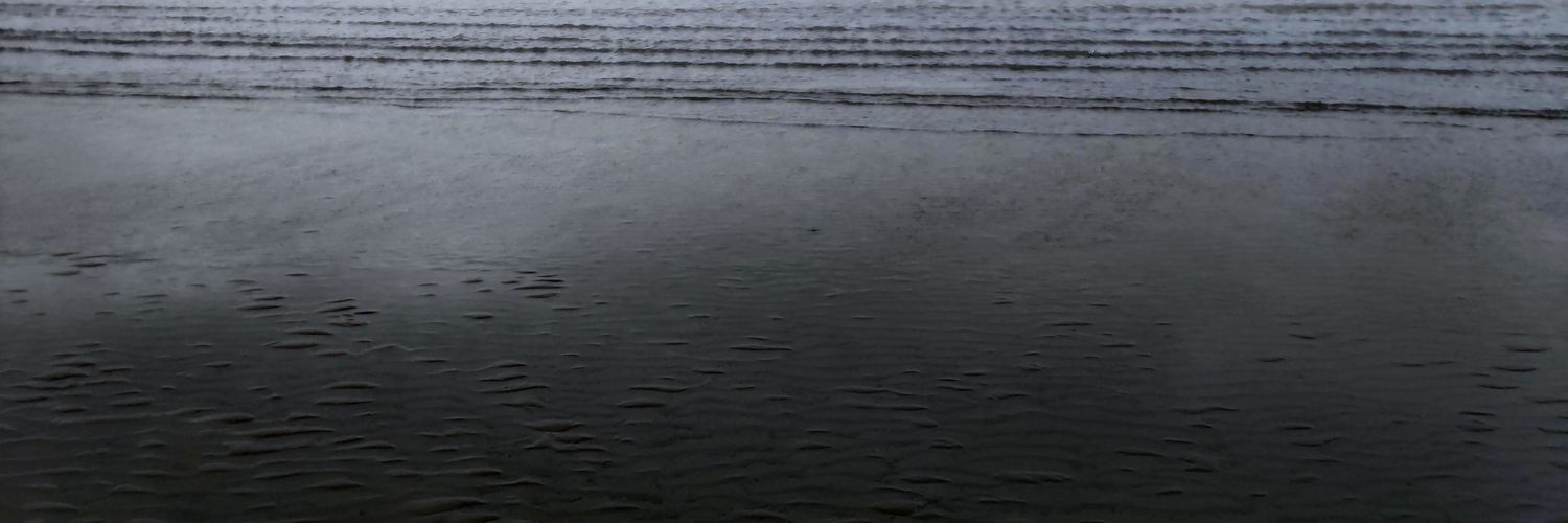 swmpmsh's profile banner image