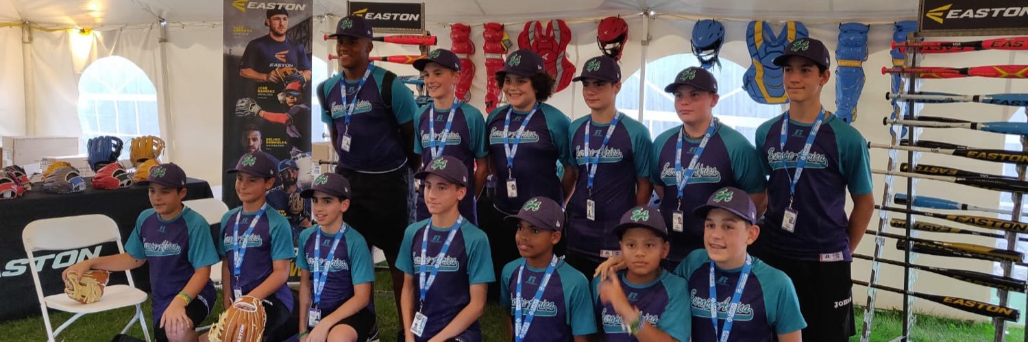 Little League Catalonia Baseball & Softball banner