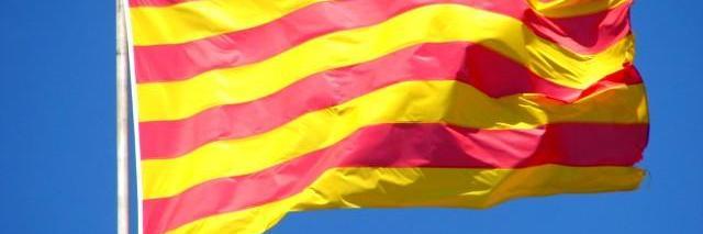 TelethonCatalan's profile banner image
