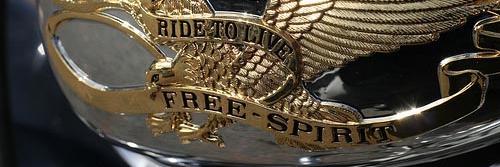 MFNserp's profile banner image