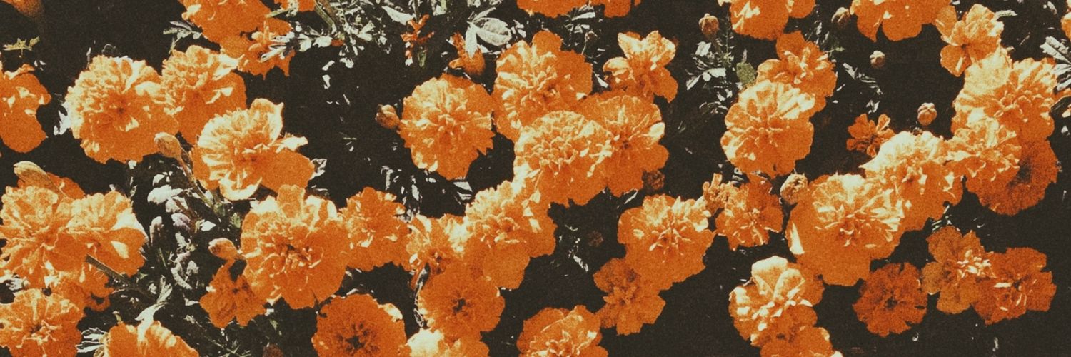 arabesquing's profile banner image
