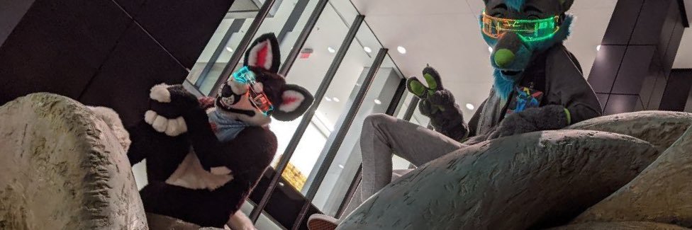 fuskypuppy's profile banner image