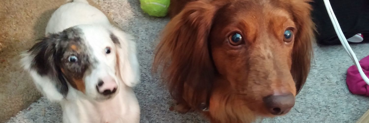 buccsbabe1's profile banner image