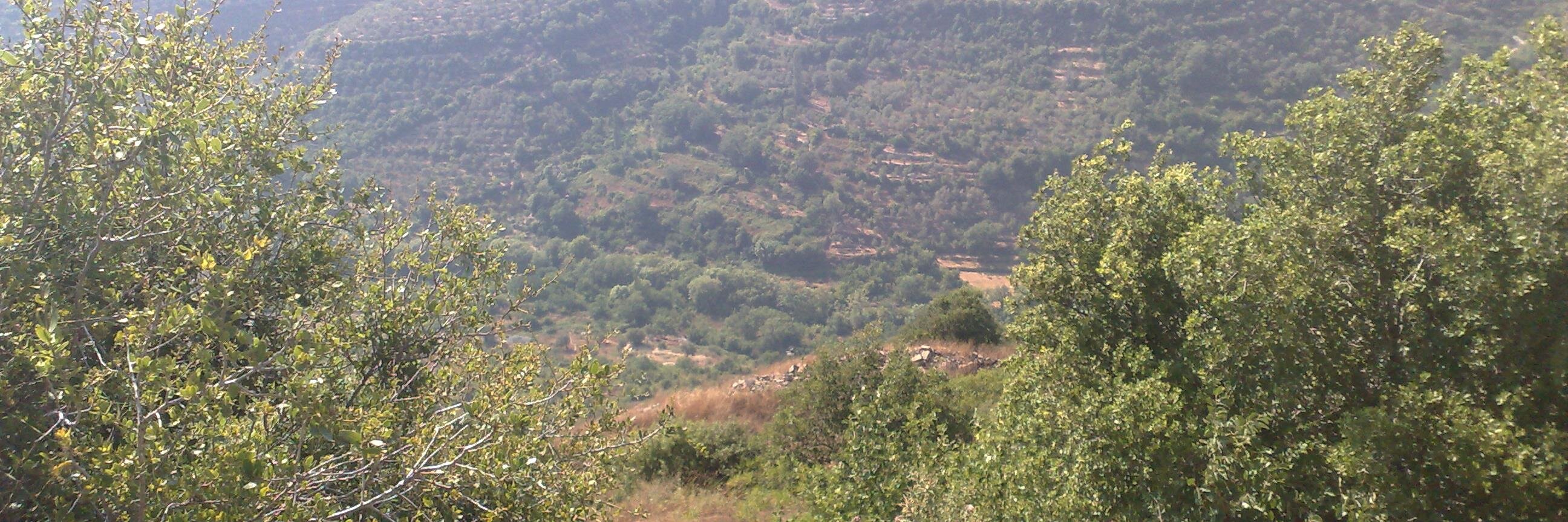 anwur60's profile banner image