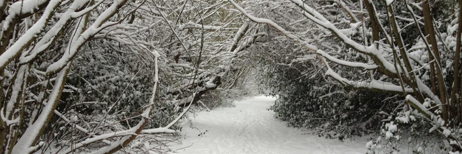 Kirsty Millard banner